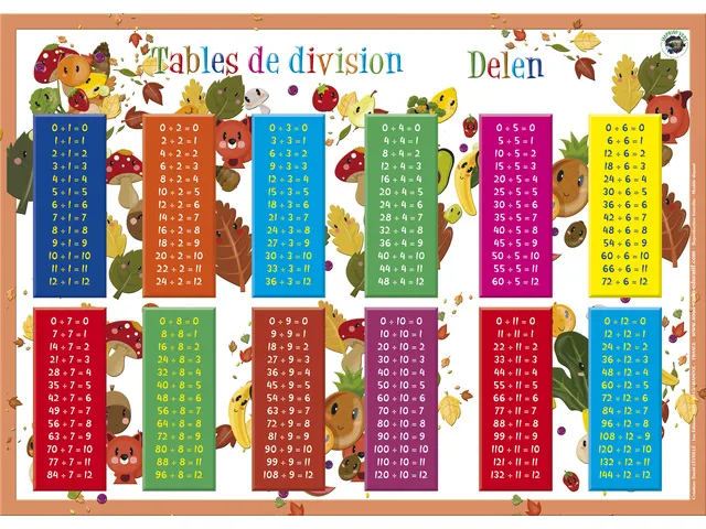 Sous-Mains Divisions NL+FR42 x 30 cm