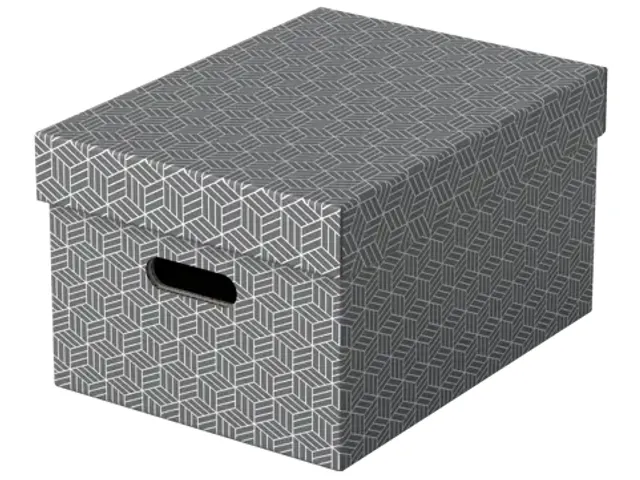 Esselte Home Middelgrote Opbergdoos Grijs Set van 3