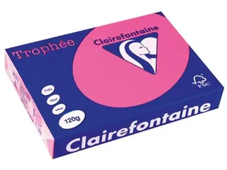 Trophée Pastel gekleurd papier A4 120 gram 250vel Eglantine roze - 2