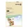 Papier Xerox 003R93962 Symphony Pastel Zalm A4 80 Gram 500 Vel