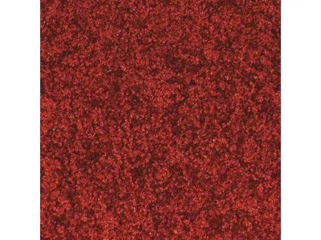 Schoonloopmat Binnen 40x60cm Wasbaar Rood