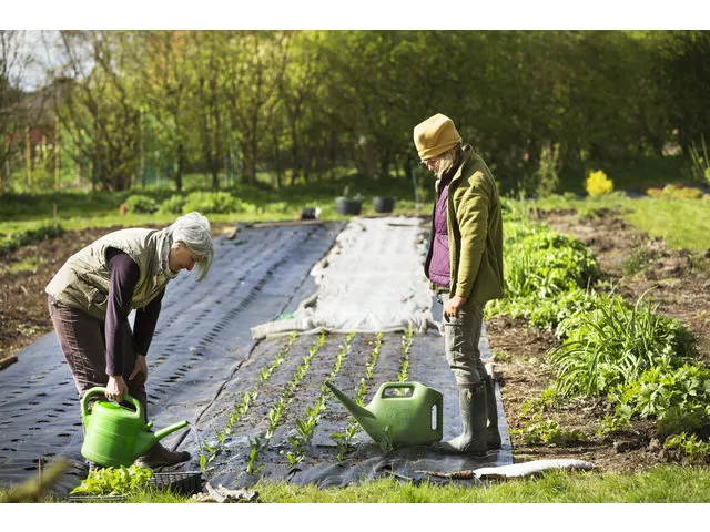 Worteldoek TerCasa zwart 10m2 100g/m2 gevouwen