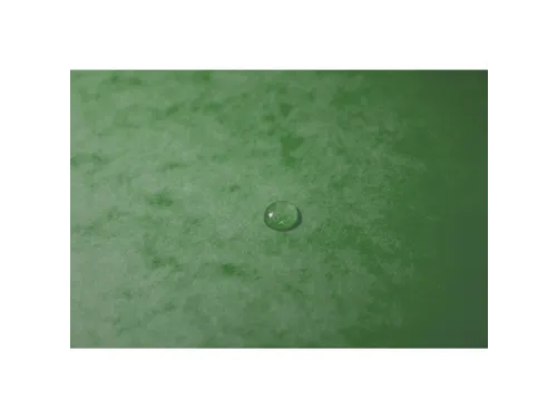 Elastomap glansk.425 3klep Max Cap groen