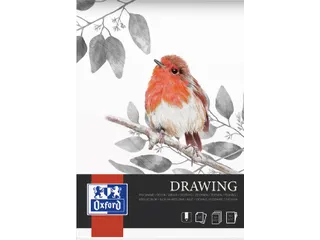 Tekenblok Oxford Drawing A3 40 vel 160 gram - 2