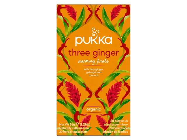 Thee Pukka ginger 20 zakjes