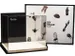 Robotime XXL Dustcover voor DIY huisjes 304x234x270mm DG11/12/13