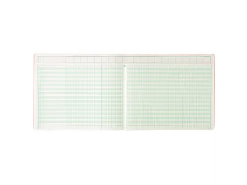 Piqure 27x32 uitg ho ofd 20 kol 80 bl