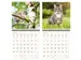 Kalender 2027 Helma 365 30x30cm katten