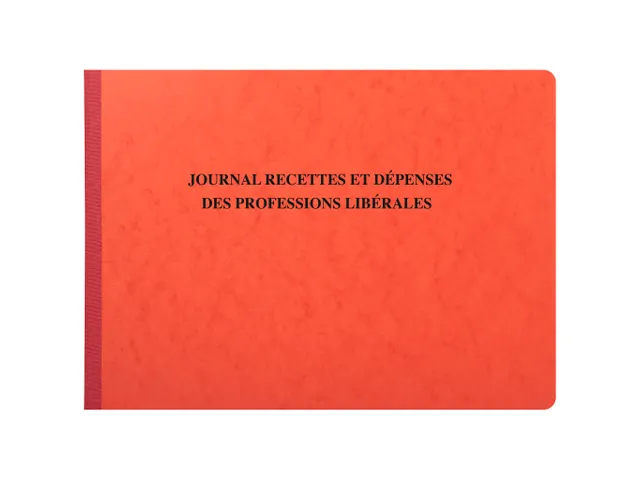 Piqûre 27x38cm - Journal des Recettes Dépenses des Professions libé