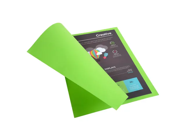 Pak van 10 dossiermappen ROCK''S 220 - 24x32cm-Groen