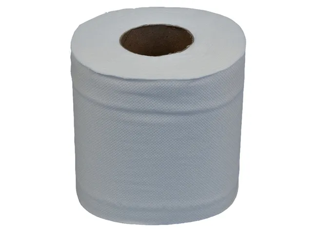 Toiletpapier Katrin 2-laags 400 vel wit 14293
