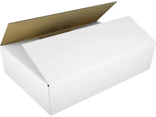 Verzenddoos Raadhuis Inw: 586x386x186mm EB-golf wit