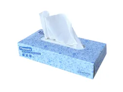 Tissue Cleaninq Facial 2-laags 100stuks