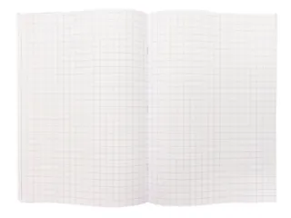 Schrift Kangaro A4 ruit 10mm 160 pagina's 60gr assorti pak à 5 stuks - 4