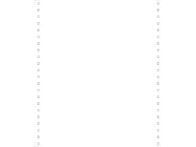 Exacompta Computerpapier 62511E 24 cm x 11 inch 70 g/m² Wit