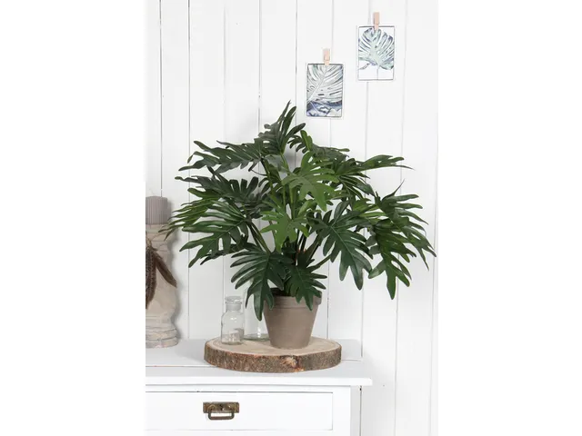 Kunstplant Mica Philodendron selloum groen in pot 50x60cm