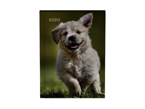 Agenda 2020 Lannoo My favourite friends dog groen