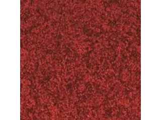 Schoonloopmat Binnen 60x90 Wasbaar Rood - 4