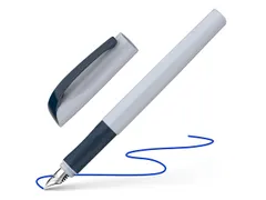 Vulpen Schneider Xpect fog