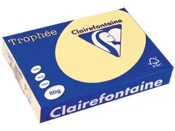 Trophée Pastel gekleurd papier A4 80 gram 500vel Kanariegeel