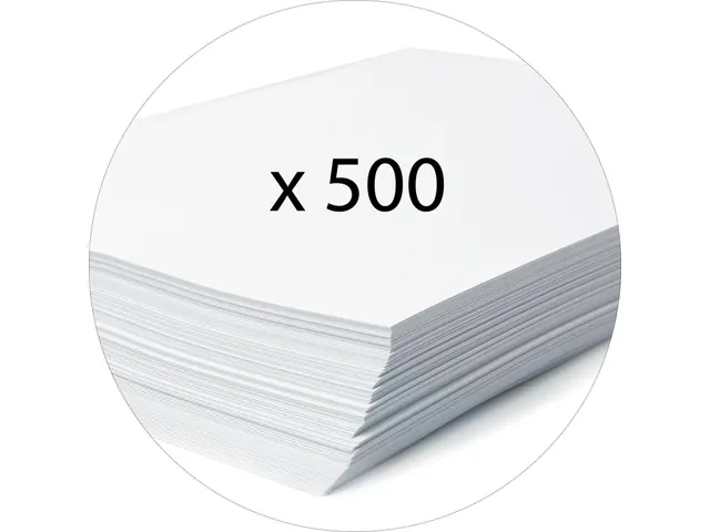 Klasseerdoos Scotten rug 60mm A4 ass.