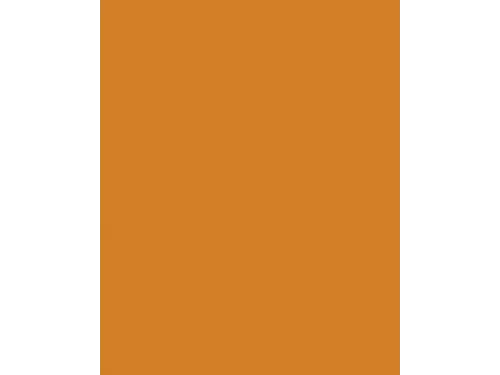 Etalagekarton Folia 48x68 cm 400gr Nr 915 lichtoranje
