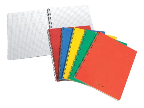 Schrift Aurora 80x135mm ruit 5x5mm 200 pagina's 60gr assorti