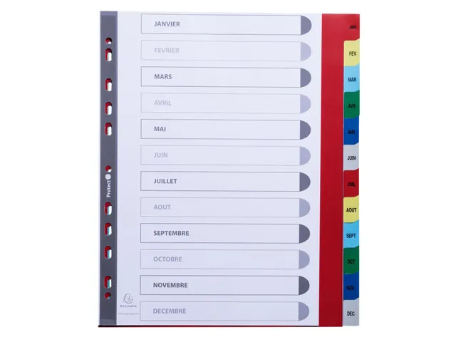 Bedrukte Tabbladen A4+ Jan-dec Assorti Pp 0.12mm 12-delig 11-gaats(FR)