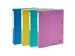 Klasseerdoos rug 40m m PP Forever Young