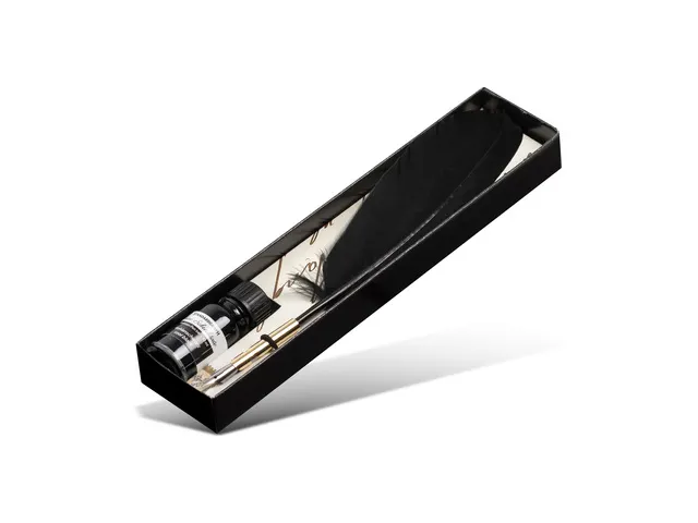 Set de calligraphie Standardgraph noir avec plume d'oie et encrier