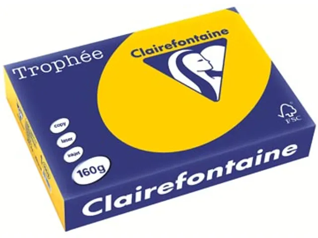 Trophée Intens Gekleurd Papier A4 160 gram 250vel Zonnebloem geel