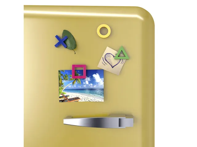 Mega Magnet Dahle Mini 45x45mm 4 stuks