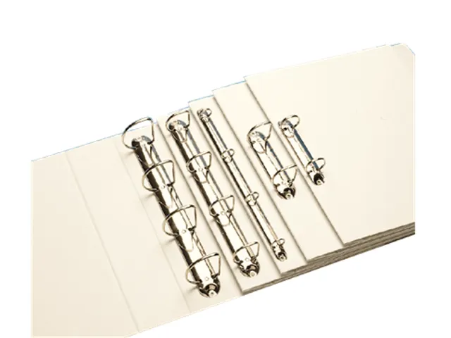 Presentatie Ringband Esselte 4 rings A4 25mm D-mech Panorama Blauw