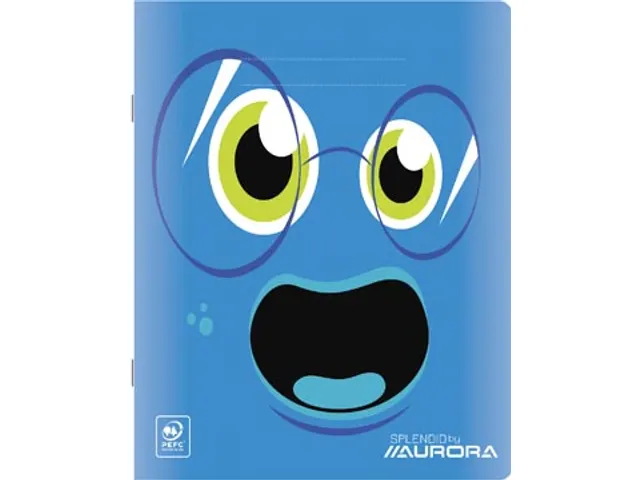 Splendid schrift, 48 bladzijden, ft 165x210mm, geruit 10mm