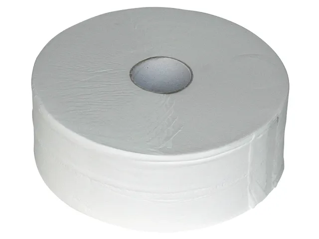 Toiletpapier Euro maxi jumbo 2-laags 380m 6 rollen