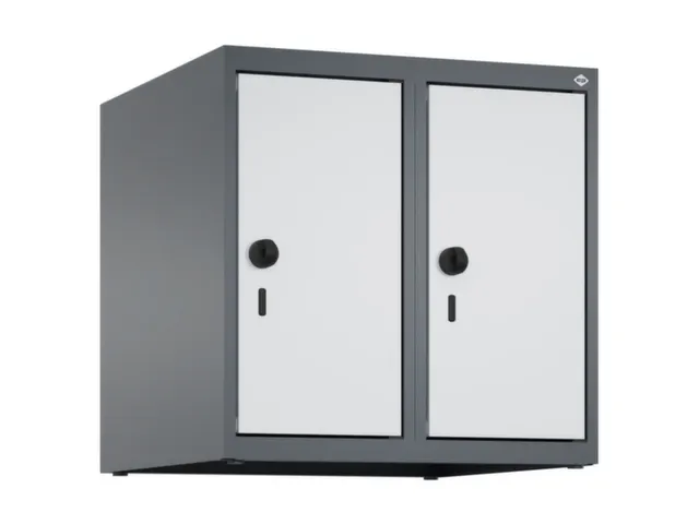opzetkast,v. locker,2vak.,vak B 250mm,HxBxD 500x500x500mm,vleugeldeur