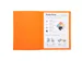 10 Dossiermappen Super 250 - 24x32cm Assorti