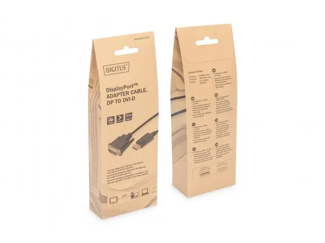 DisplayPort–DVI adapterkabel 3m slot Full HD DP 1.1a Zwart