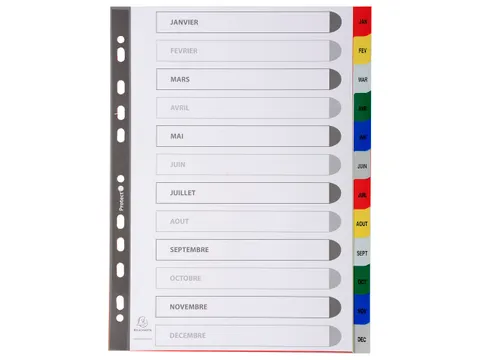 Bedrukte Tabbladen A4 12-delig Jan-dec 11-gaats Frans Assorti