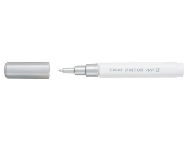 Paintmarker Pilot Pintor Celebrations Extra Fijne punt Wit Goud Zilver