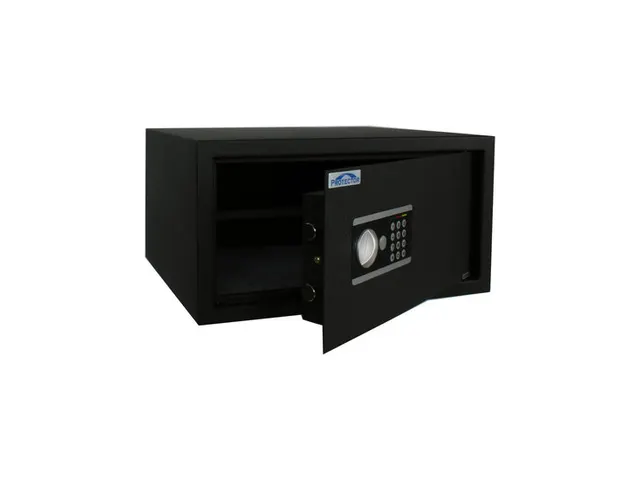 Laptopkluis Domestic laptopsafe DS 2650E