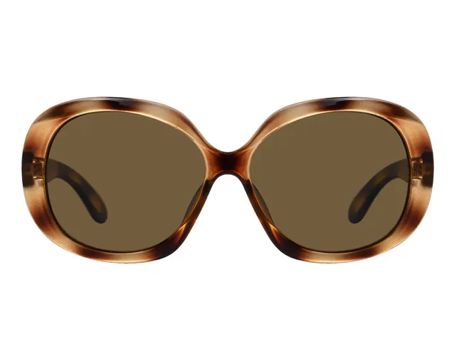 Zonnebril Montana bruin gepolariseerd glas glans demi