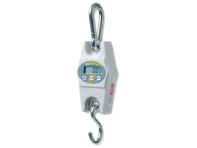 Hangweegschaal Lcd Display Weegbereik 0-200Kg Afleesbaar Per 500G