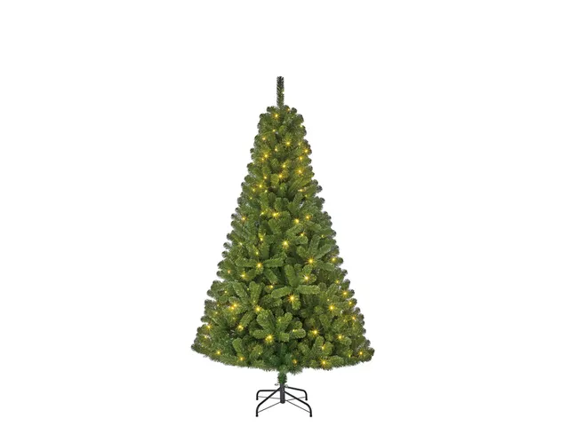 Charlton kerstboom groen TIPS 525 hxd 185x115cm