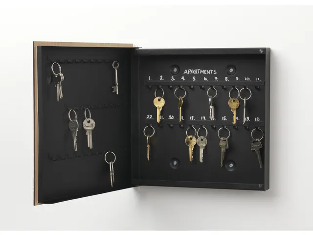 Sleutelkast Naga Magnetisch met Eikenfineer