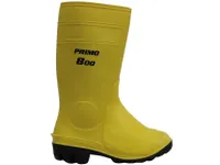 Majestic Protection pieds