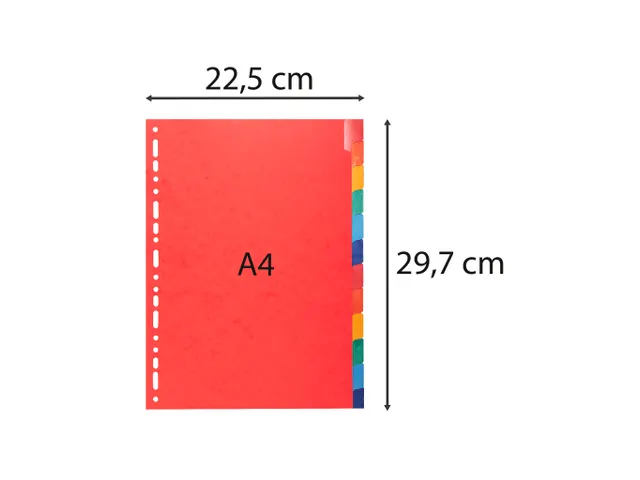 Tabbladen Glanskarton 225 Gram A4 12 tabs