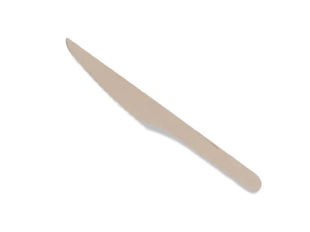 Houten Mes FSC 165mm 100 Stuks