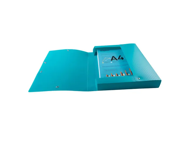 Klasseerdoos rug 40m m PP Forever Young
