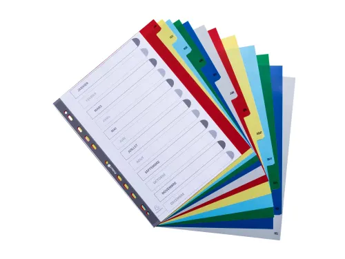 Bedrukte Tabbladen A4+ Jan-dec Assorti Pp 0.12mm 12-delig 11-gaats(FR)
